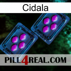 Cidala 03